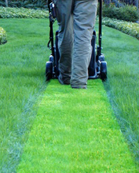 Tonte de pemouse, jardinage avec service d'aide à la personne secteur Saint-Forget Yvelines